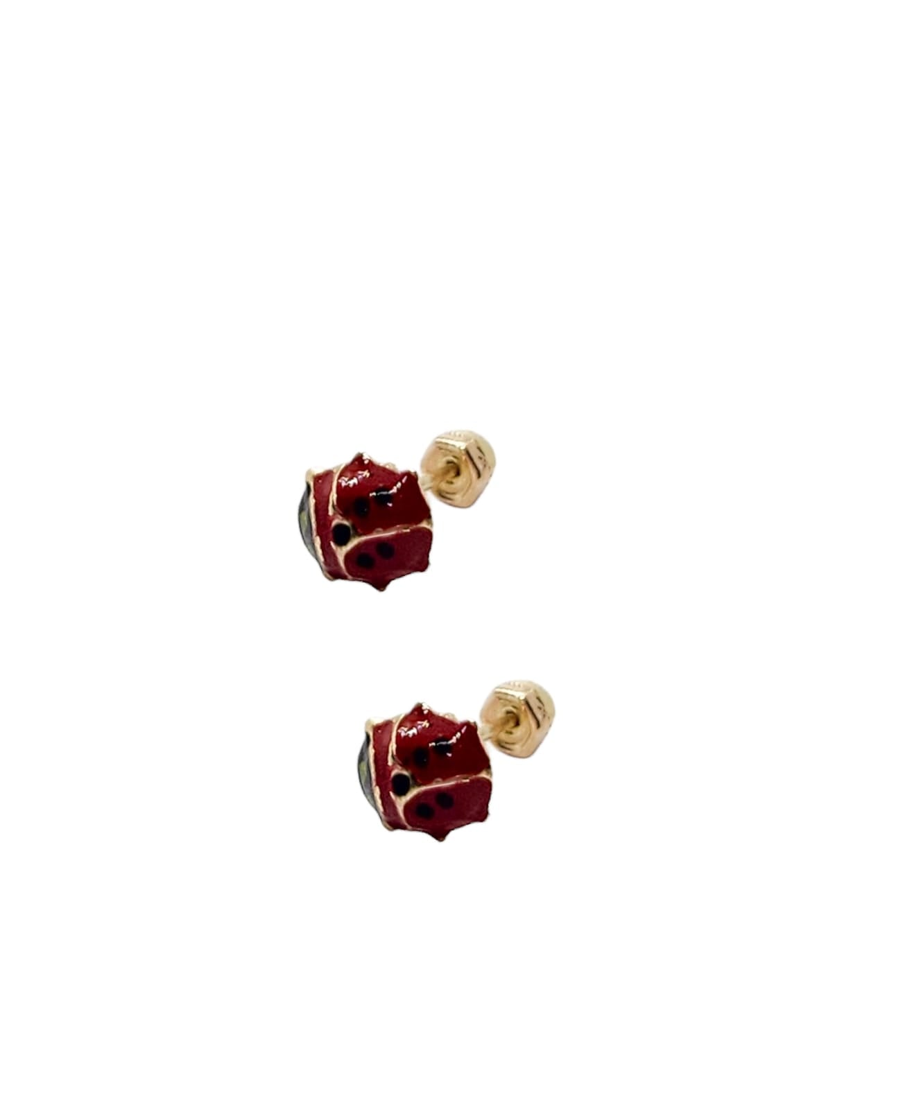 Par de Broquel catarina bump oro 10k DORADO