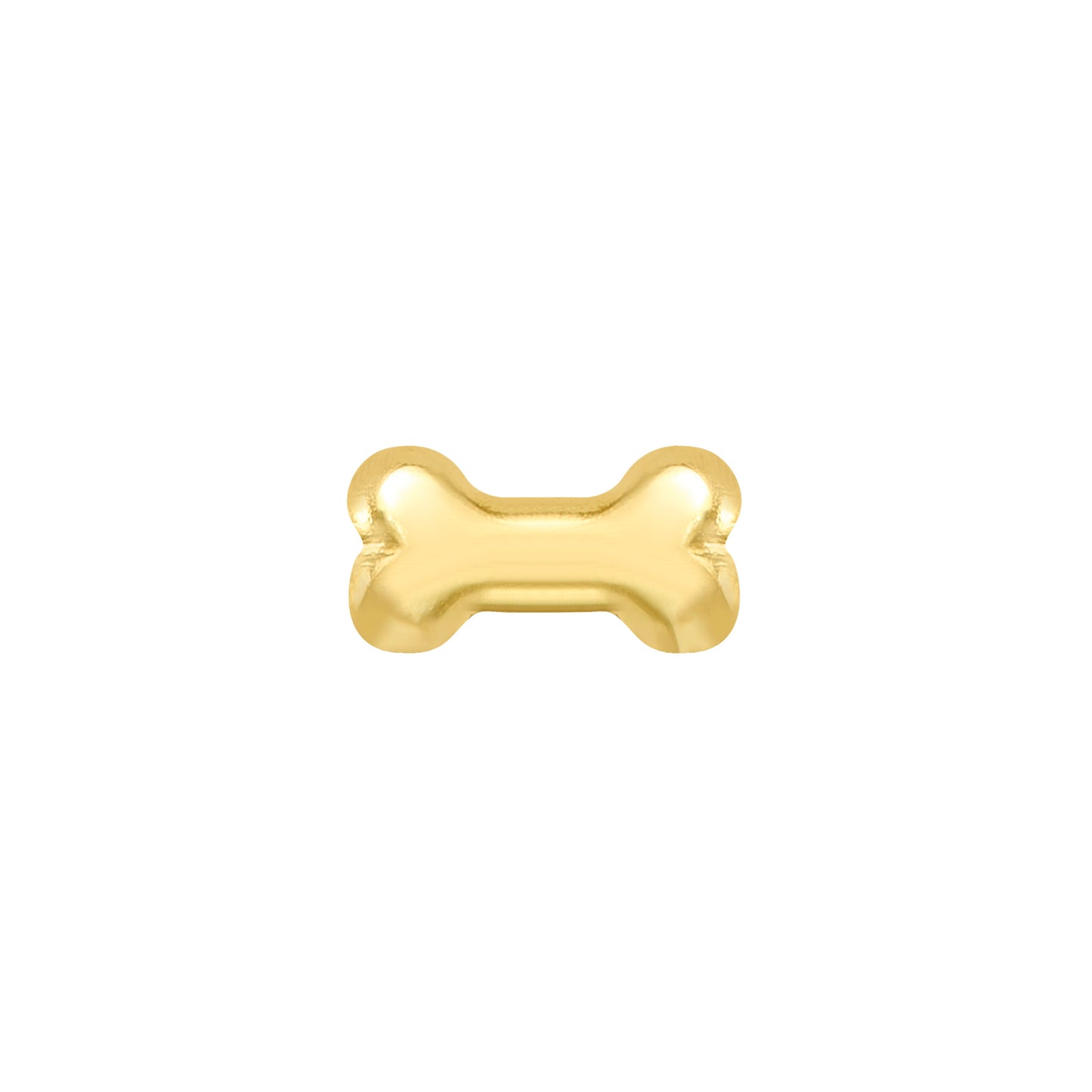 Par o Pieza de Broquel Mini Hueso Oro de 10k DORADO