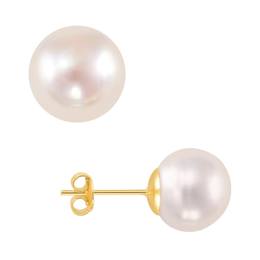 Par de Broquel perla natural básico oro 10k dorado