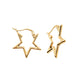 Aretes en forma de estrellas lisas básicas