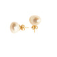 Par de Broquel perla natural XL oro 10k DORADO