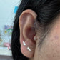 Par de broquel en forma de Alas Plata 925
