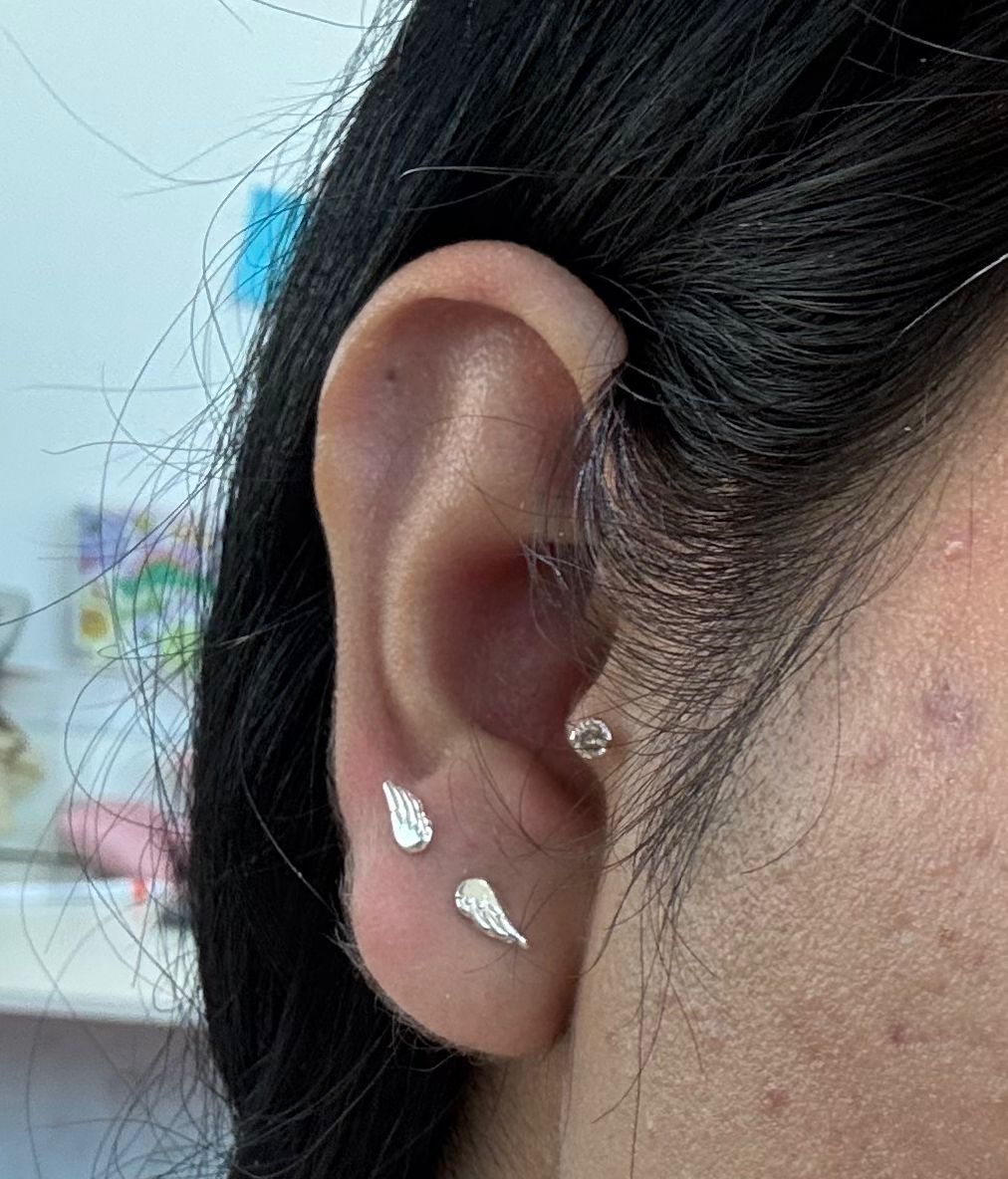 Par de broquel en forma de Alas Plata 925