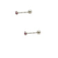 Par de Aretes broquel piedra natural rubí plata 925