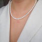 Collar Clásico Amaris
