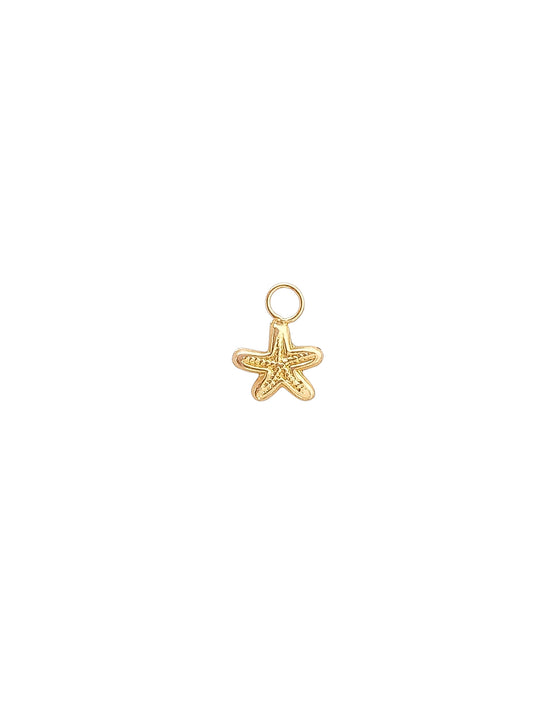 Pieza accesorio estrella de mar oro 10k DORADO