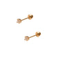 Par de Broquel con diamante natural 18 pts Oro de 14k DORADO